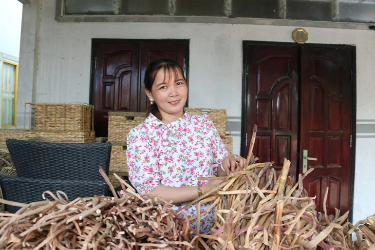 Người phụ nữ tạo việc làm cho 300 lao động ở xứ "muỗi kêu như sáo thổi"