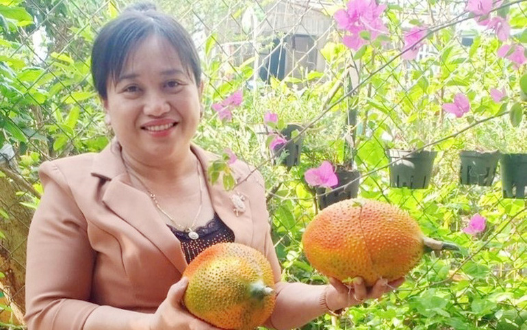 Đam mê phát triển mỹ phẩm hữu cơ, giúp bà con dân tộc Khmer tiêu thụ gấc